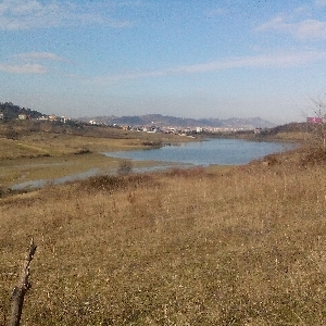 Toke ne shitje te liqeni Kasharit