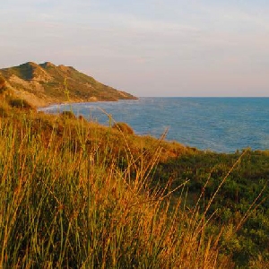 Toke/Truall ne shitje, Porto Romano , Durres !